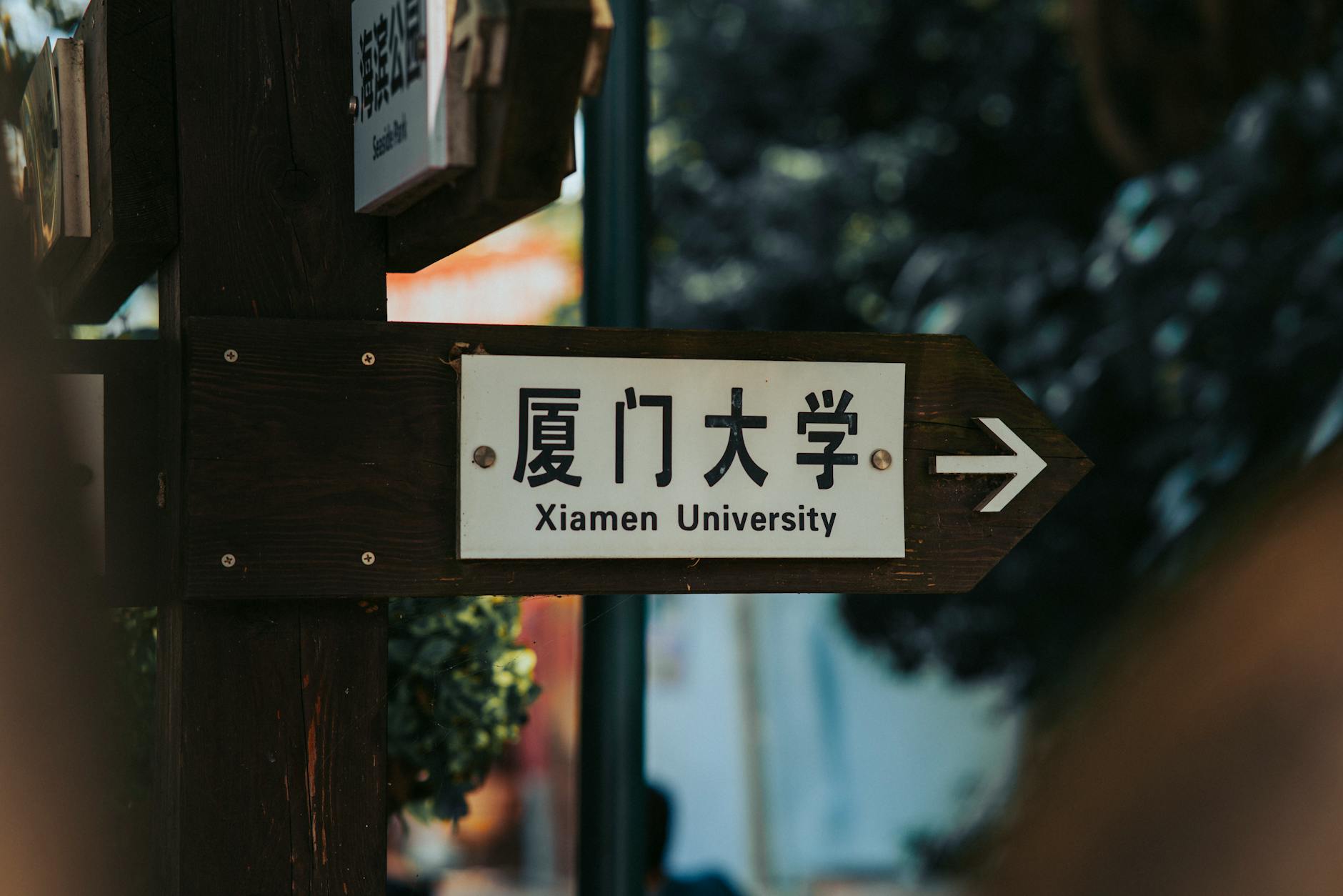 2026年澳洲幼教职业评估要求与移民前景