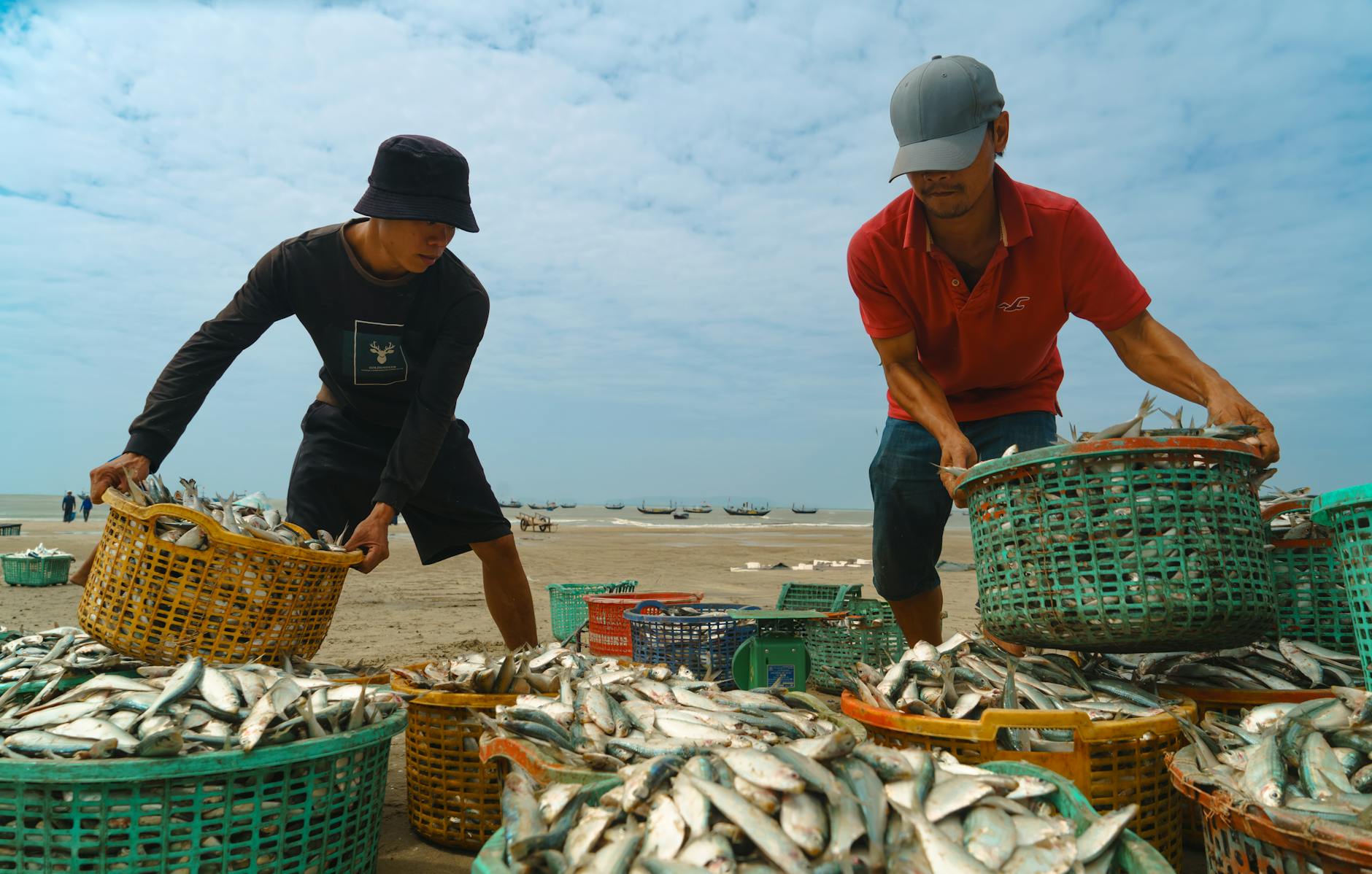 Thuế TNCN Úc 2026: Người Việt đi làm cần đóng bao nhiêu %?